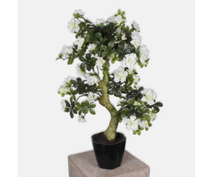 Dirbtinis augalas AZALEA BONSAI